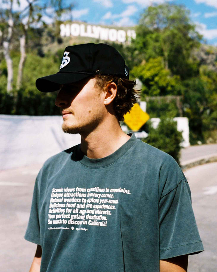 Views Tee - Sage