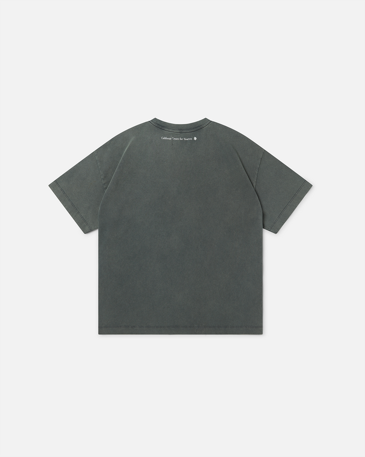 Views Tee - Sage