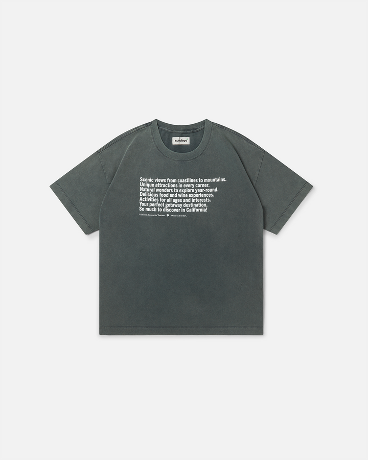 Views Tee - Sage